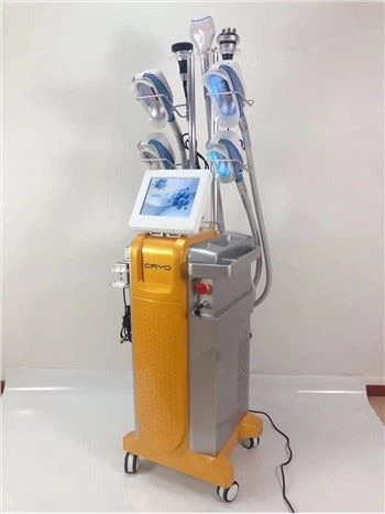 Tseeb Poob Technology Cryolipolysis