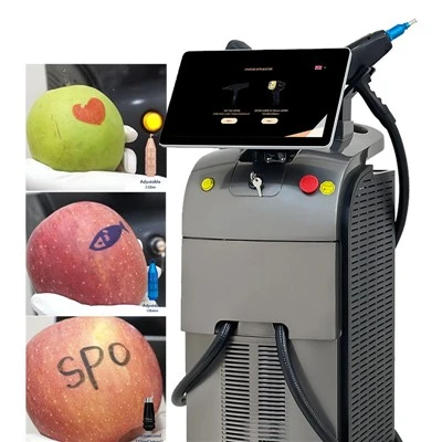 2-in-1 Nd Yag Thiab diode laser plaub hau tshem tawm tshuab